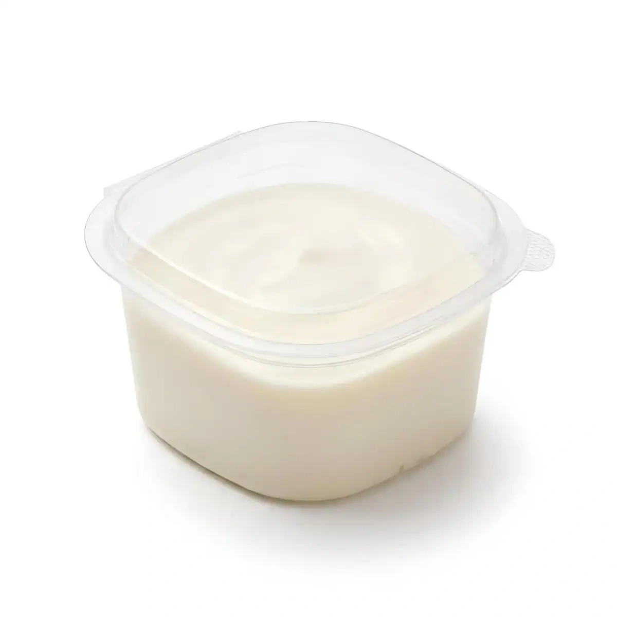 Veg Mayonnaise
